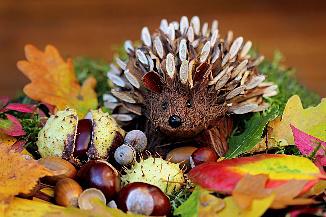 Herfstworkshop 2026
